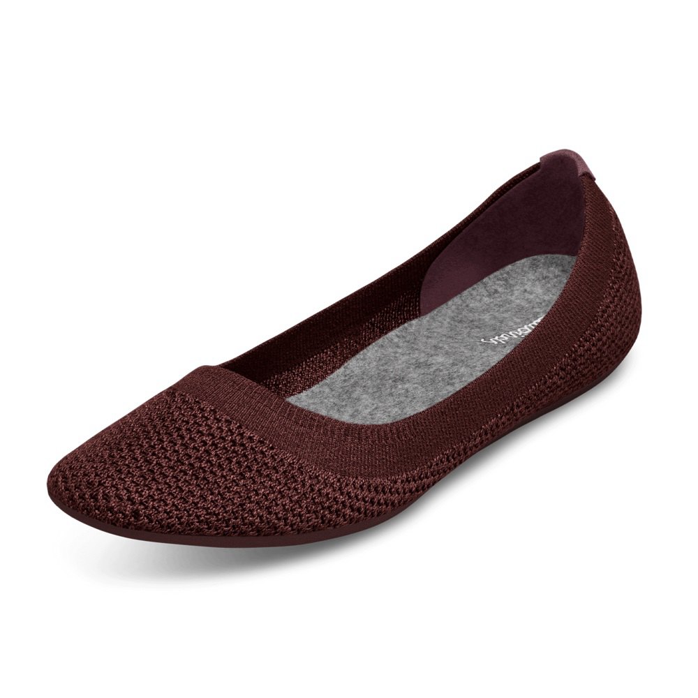 Allbirds Women's Tree Breezers - Flats Brown - KJI612438